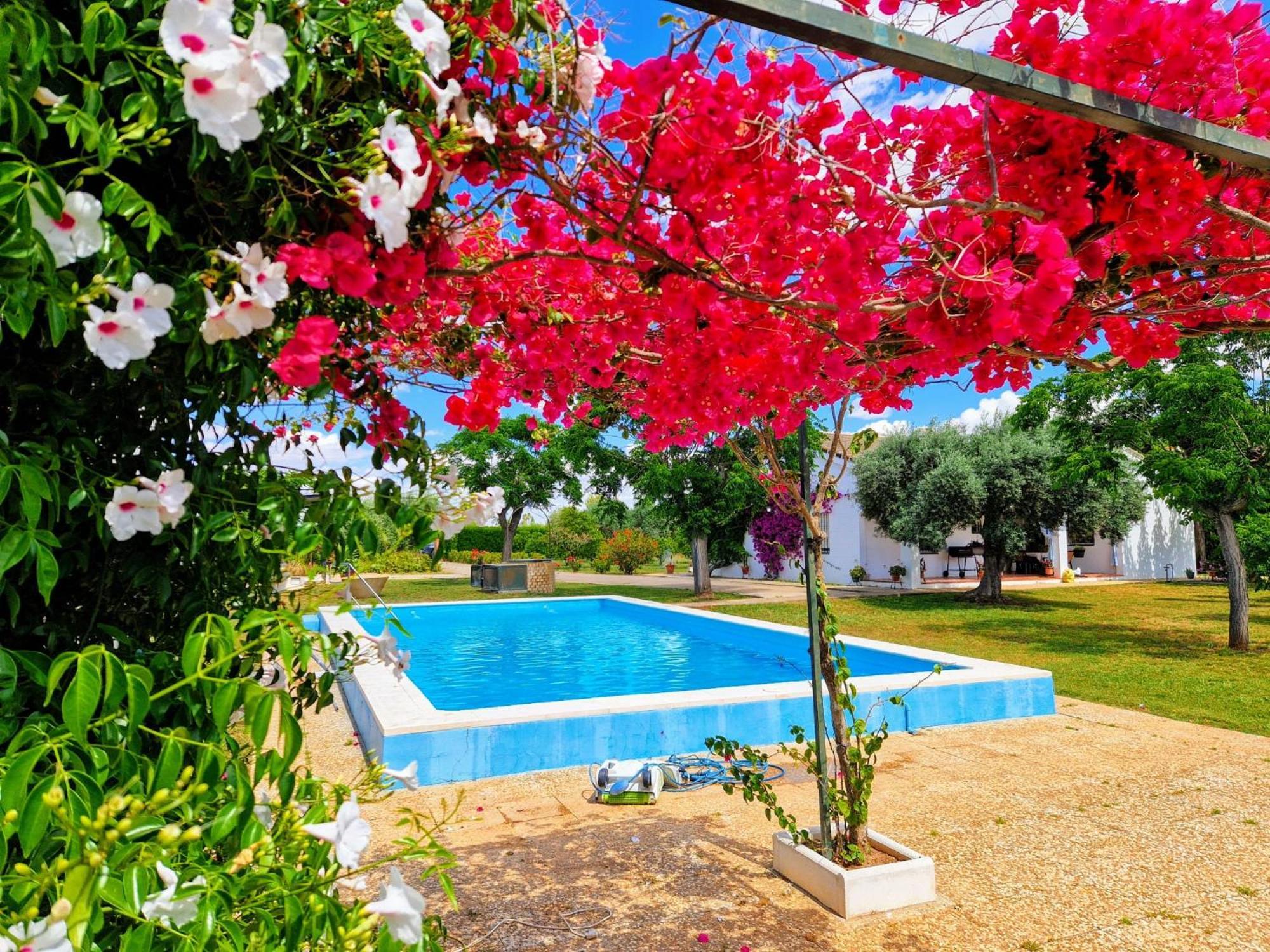 Casa En El Campo Cerca De Sevilla * La Rinconada