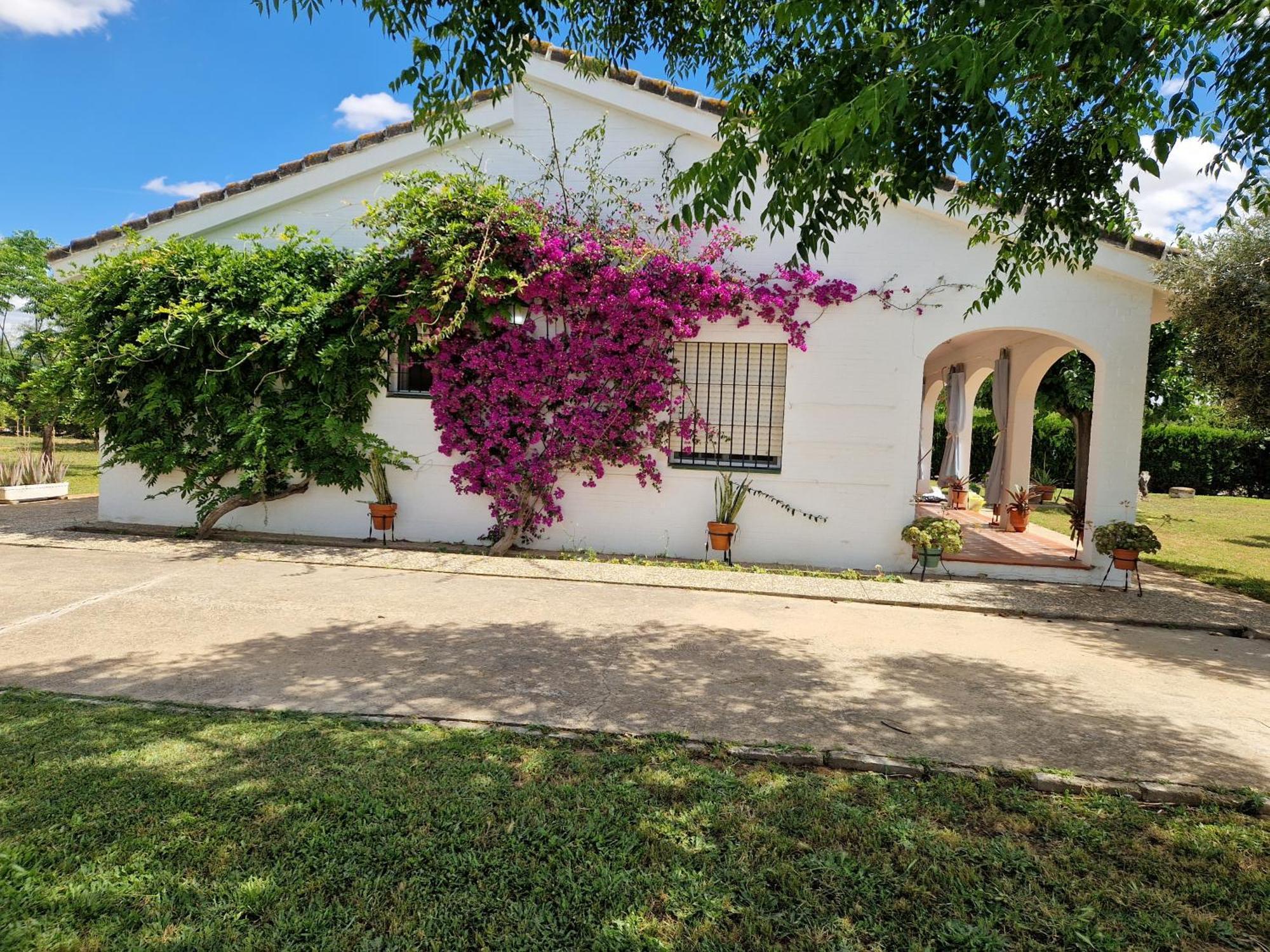 Casa En El Campo Cerca De Sevilla Vakantiehuis *