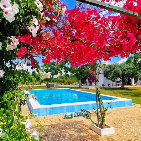 Casa En El Campo Cerca De Sevilla La Rinconada Extérieur photo