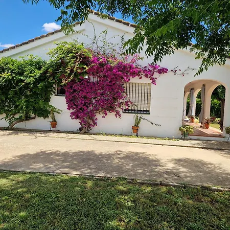 Casa En El Campo Cerca De Sevilla La Rinconada Extérieur photo