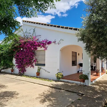 Casa En El Campo Cerca De Sevilla La Rinconada Extérieur photo