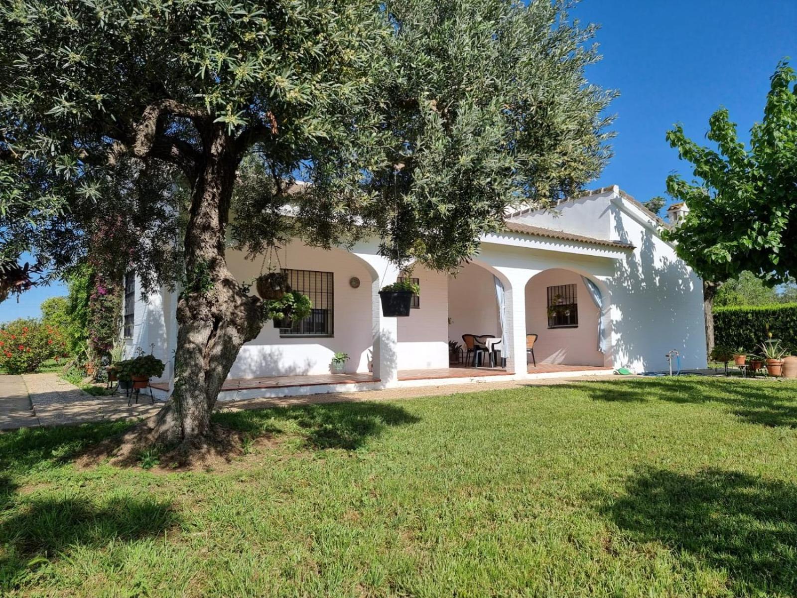 Casa En El Campo Cerca De Sevilla Holiday home La Rinconada