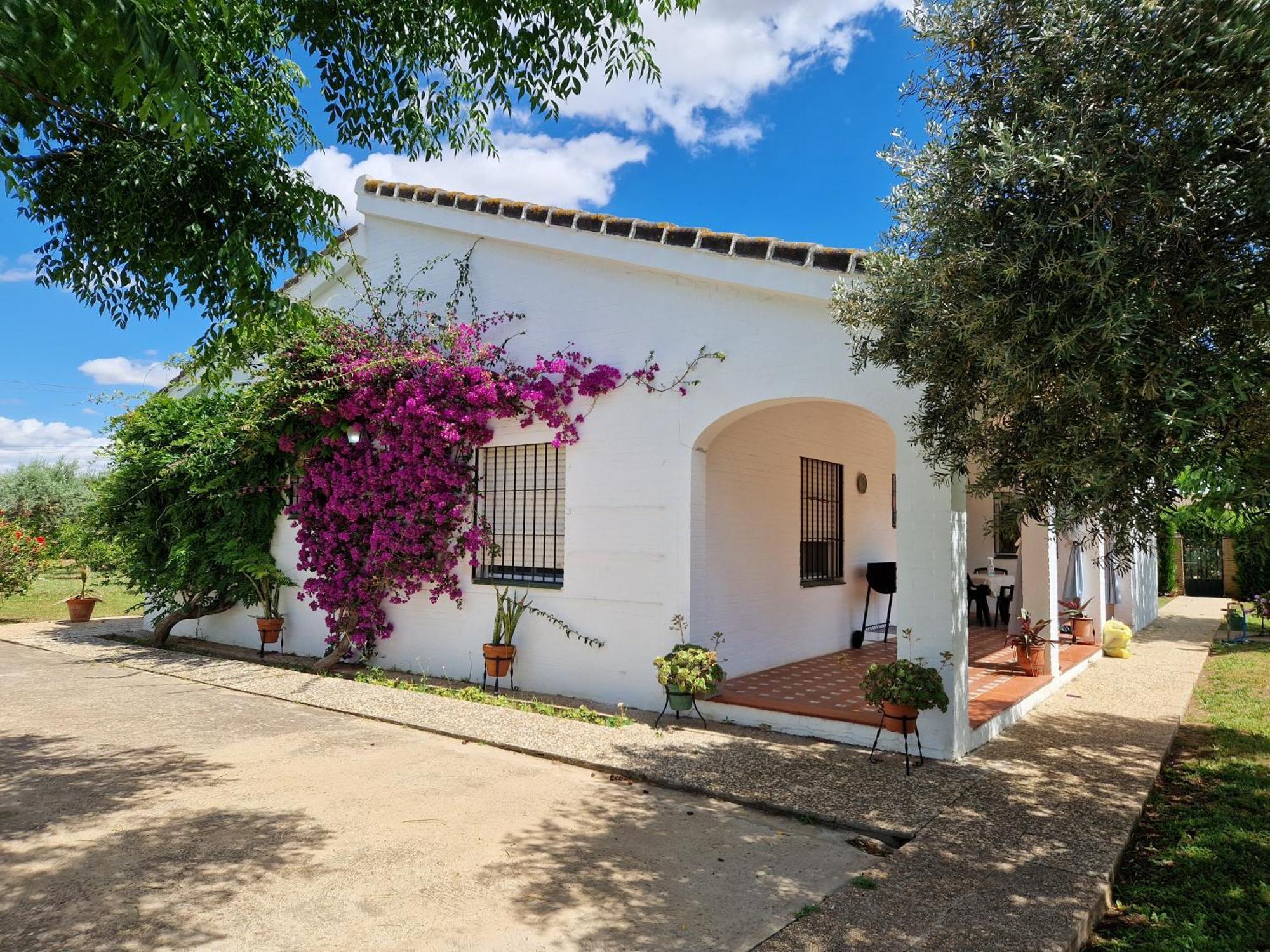 Casa En El Campo Cerca De Sevilla Hébergement de vacances